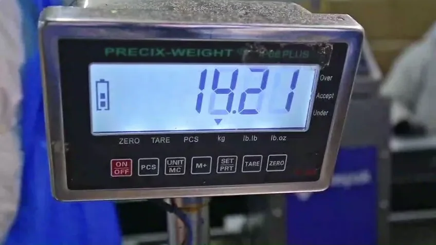 Balanza de precision en planta
