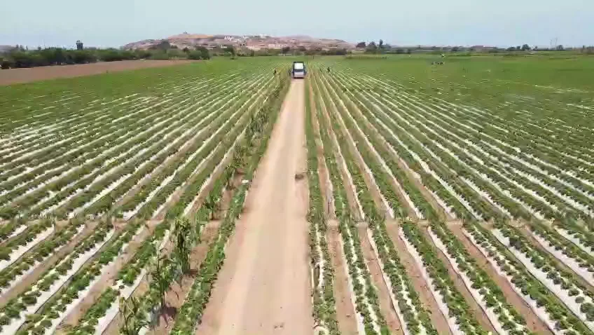 Vista a&eacute;rea de nuestros campos certificados