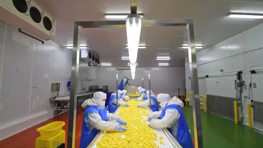 Control de calidad en linea de proceso