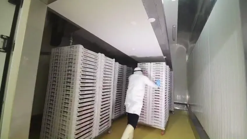 Tunel de congelado a -30 grados