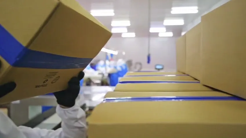 Cajas de exportacion en linea de empaque